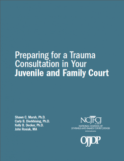 NCJFCJ Trauma Manual Cover